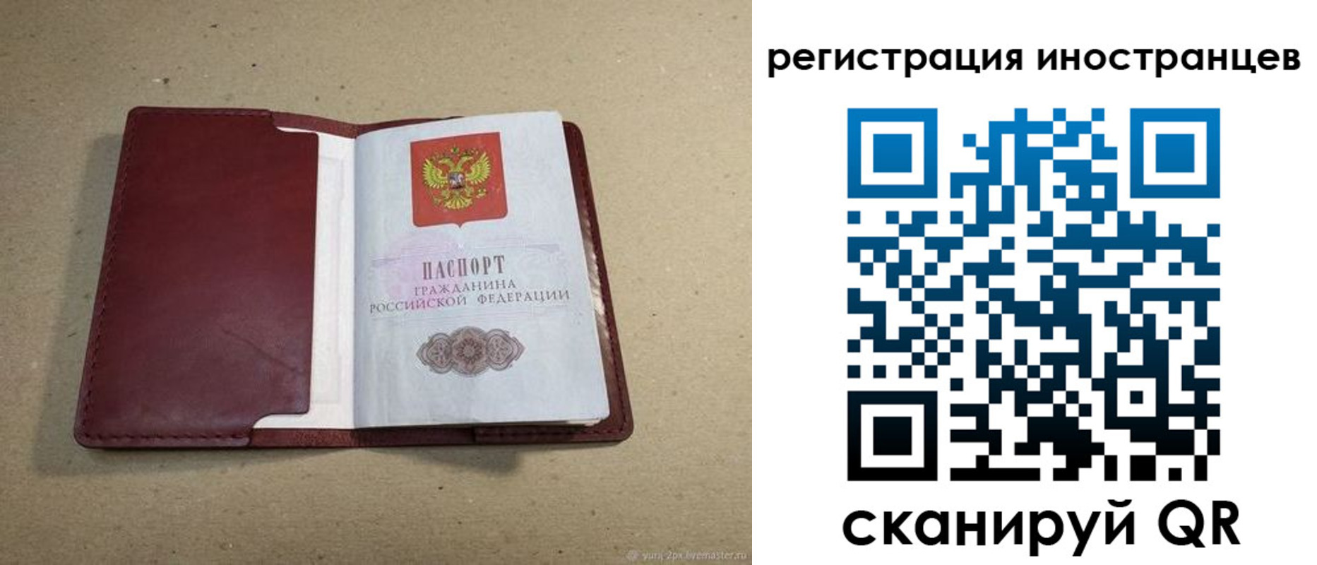 регистрация для школы в Волосово